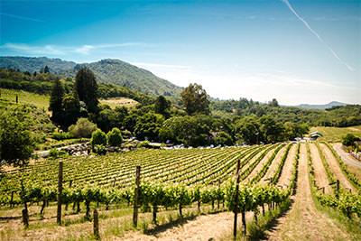 Why Sonoma County